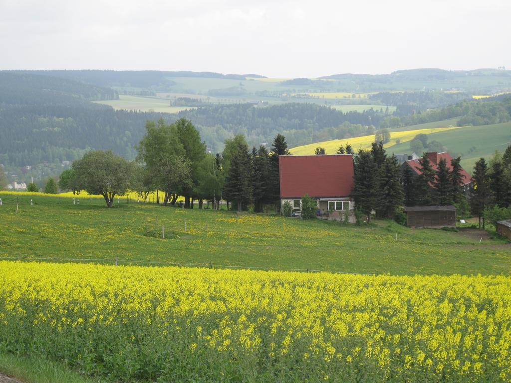 Hotel Sonne Seiffen Buitenkant foto