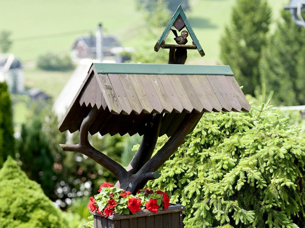 Hotel Sonne Seiffen Buitenkant foto