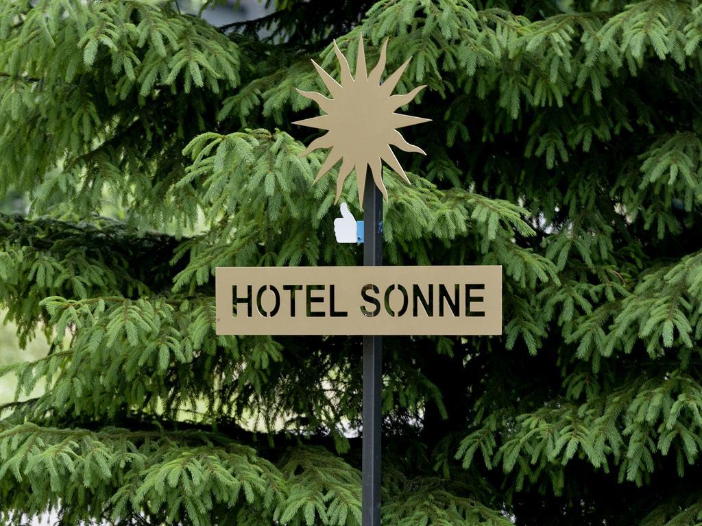 Hotel Sonne Seiffen Buitenkant foto