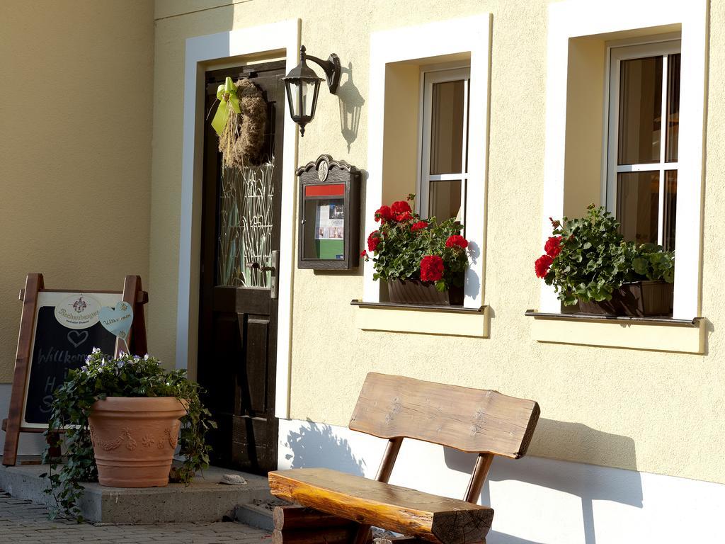 Hotel Sonne Seiffen Buitenkant foto