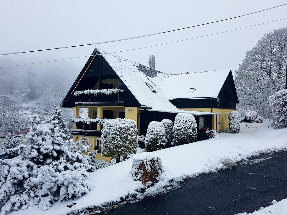 Hotel Sonne Seiffen Buitenkant foto